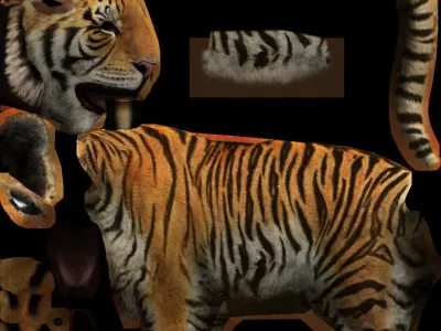 big tiger 3D model