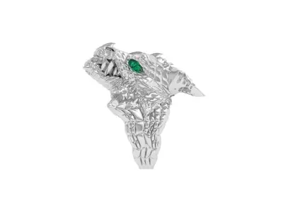 Dragon Ring 3D print model