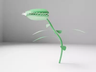 Carnivouros Plant  3D model