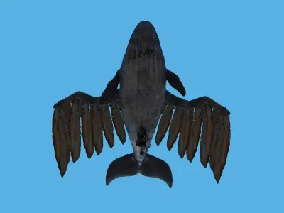 CGI Whale with option to add retractable birdlike wings Low-poly 3D model