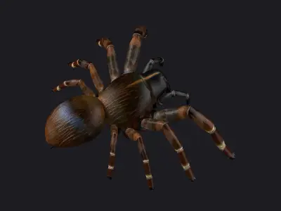 spider walking creepy tarantula attack idle game horror 3D model