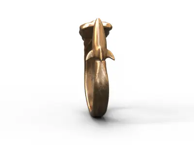 High-Quality 3D Ring Jet Model Low-poly 3D model purchase