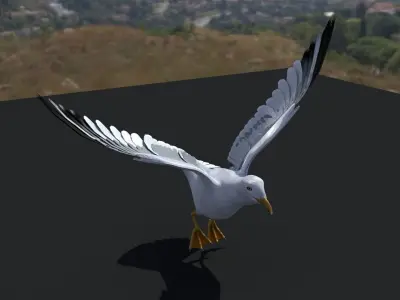 SEAGULL 3D model order