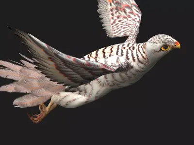 Kestrel B5 Free low-poly 3D model