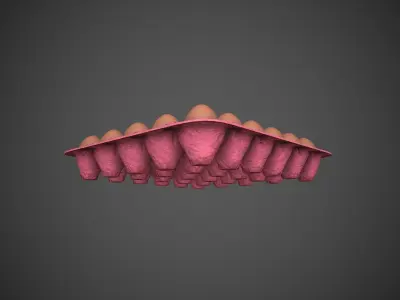 Eggs with Box 3D model