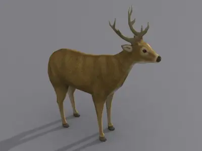 a deer Free 3D model
