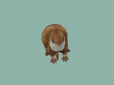 squrrel lowpoly 3d model 3D model