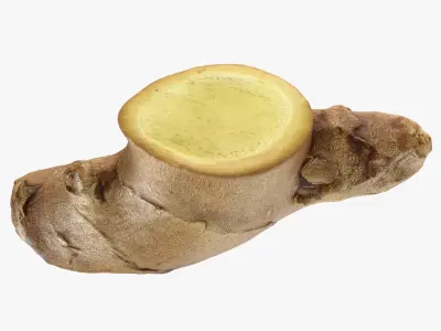 Ginger Slices Collection 3D model