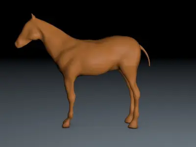 Horse 3D model get