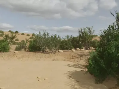Desert Oasis Village 3D model purchase