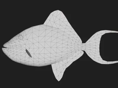 Filefish Low-poly 3D model get