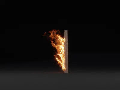 3D Fence Post Fire 3D model