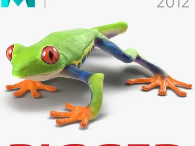Red Eyed Tree Frog Rigged for Maya 3D model