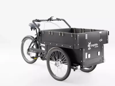 3D Model of Cargobike DeLight Kindergarden Low-poly 3D model