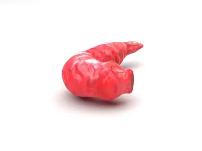 Red Maggot 3D model