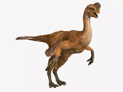 Citipati dinosaur Low-poly 3D model