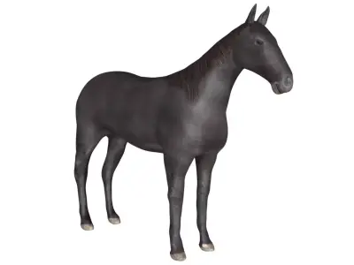 Black Horse Low-poly 3D model