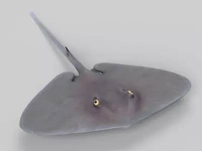 Stingray 3D model purchase