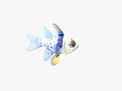  Orbiculate and Spotted Cardinalfish 