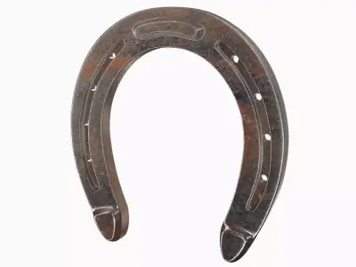 Horseshoe 3D model