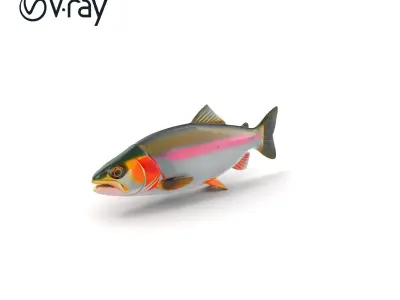 Dynamic Trout Fish Nature Realism model pack Low-poly 3D model
