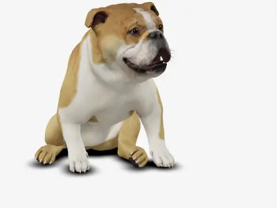 Dog English Bulldog Low-poly 3D model
