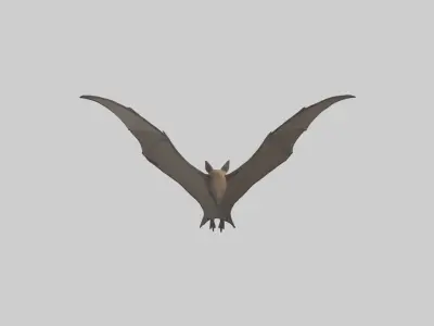 Fishing Bat flying model Low-poly 3D model