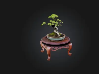 Unique Bonsai Tree Stand Low-poly 3D model