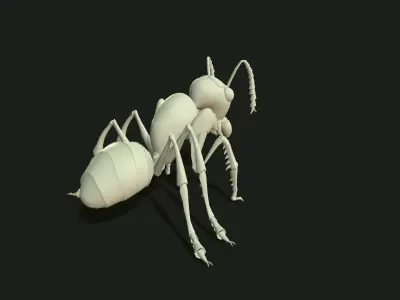 Ant 3dModel insect Low-poly 3D model