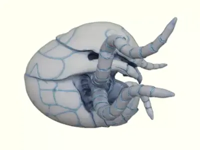 Glacier Shell Crawler Free 3D print model