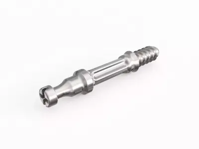 Screw 55 3D model