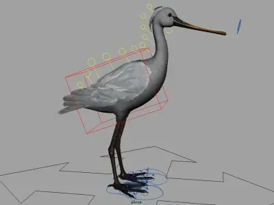 spoonbill stork with beak 3D model