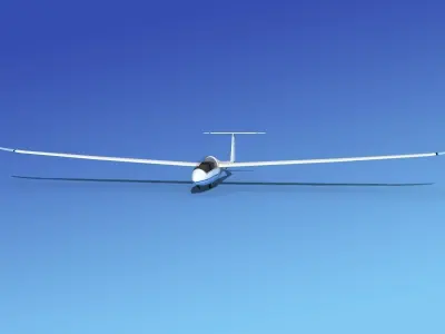 Duo Discus Sailplane 3D model 3