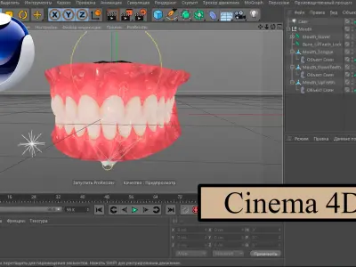  Realistic Mouth Teeth for character 
