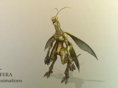 Califera Low-poly 3D model
