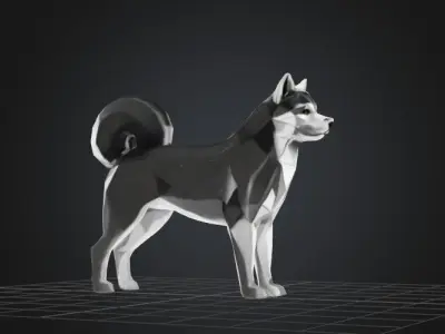 Low Poly Husky Dog 3D model