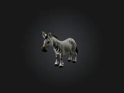 Realistic Zebra Model Low-poly 3D model