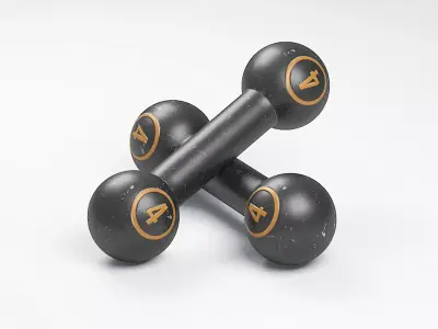 Gym Dumbbell 4 3D model