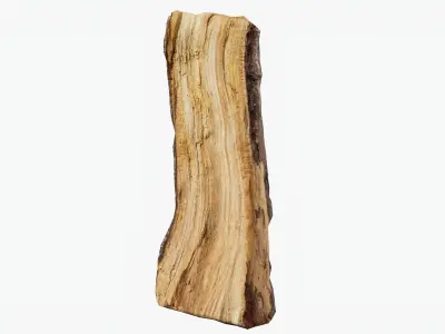 Scanned Tree Wood 01 3D model