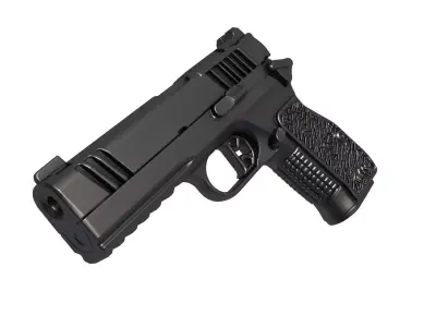 Dan Wesson DWX Compact 3D print model