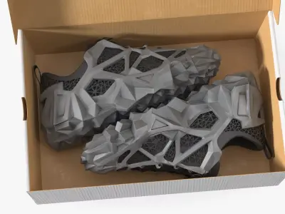 Athletic Footwear with Geometric Structure in Box 3D model
