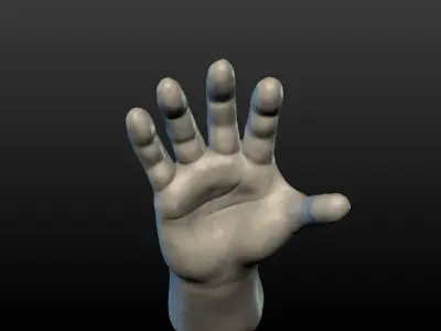High Poly Hand 3D print model