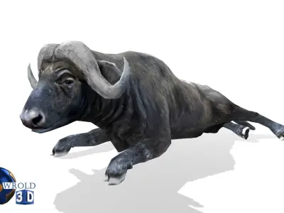 Buffalo rigged animated lowpoly 3d model Low-poly 3D model