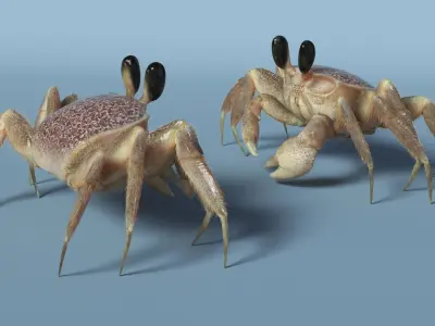  Tropical Ghost Crab Moving Pose Pink Beige Fur 