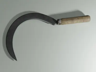 Sickle sword with wooden handle 3D model