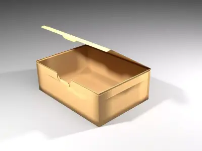 Cardboard Box - Folding 3D model