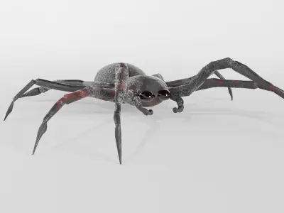 Spider Free low-poly 3D model