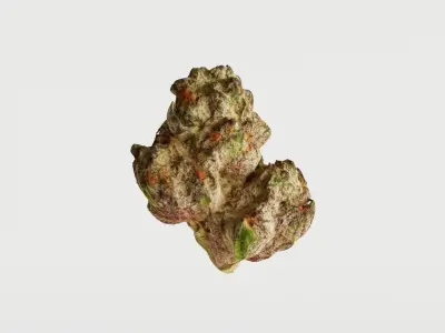 Realistic Cannabis Bud 02 3D model