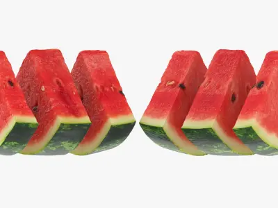 Watermelon Slice Collection 3D model
