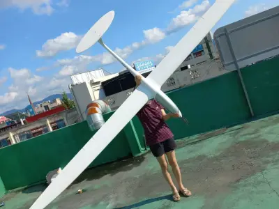 3D Printed RC Scale Sailplane DIANA-3 Wingspan 4m 3D print model
